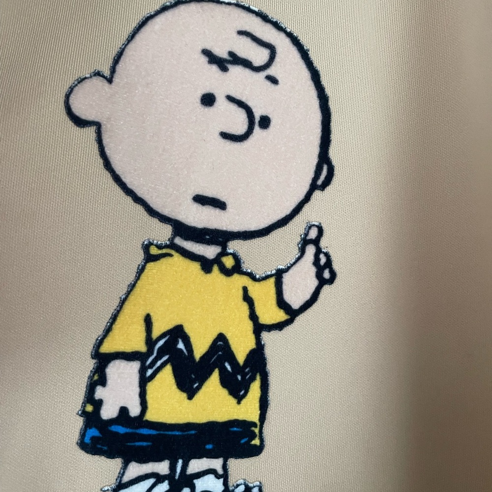 Peanuts Snoopy and Charlie Brown
Mens Jacket NWT XXL - Picture 5 of 7